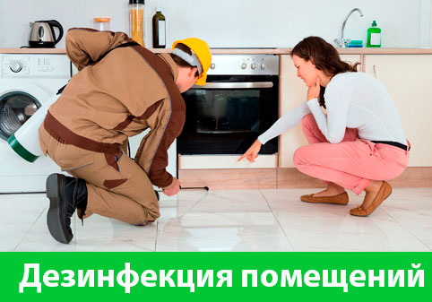 Дезинфекция офисов от коронавируса в городе Москва