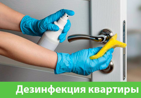 Дезинфекция квартиры в городе Москва