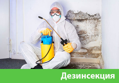 Дезинсекция в городе Москва