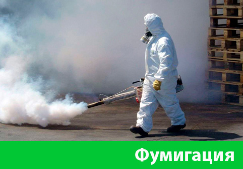 Фумигация в городе Москва