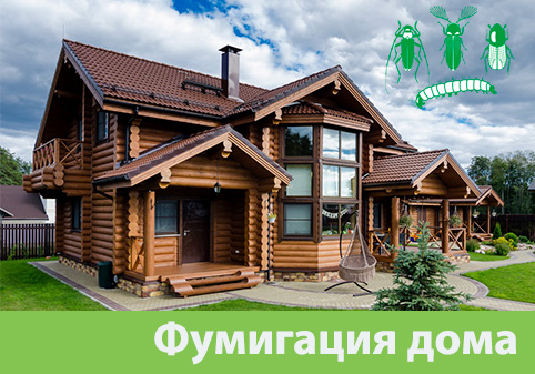 Преимущества обработки газом в городе Москва
