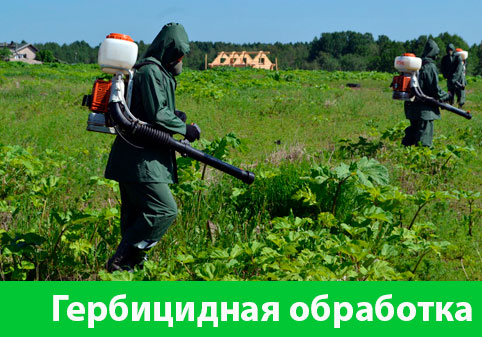 Гербицидная обработка в городе Москва
