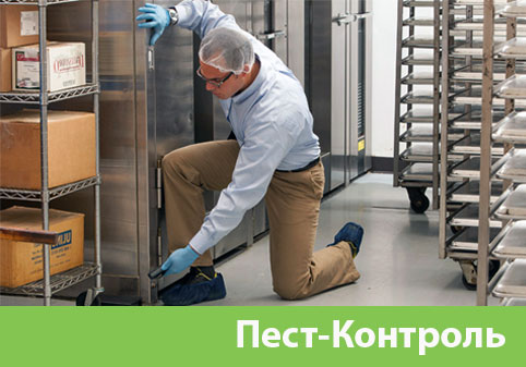 Пэст-Контроль в городе Москва