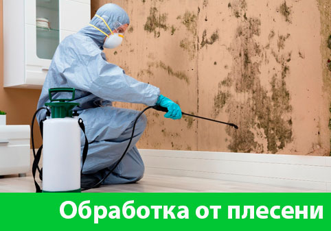 Обработка от плесени в городе Москва