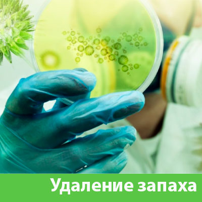 Удаление запахов в Ханты-Мансийске