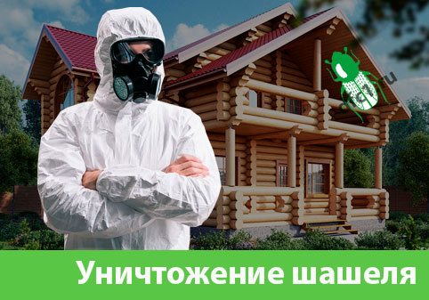 Уничтожение шашеля и личинок в Ханты-Мансийске