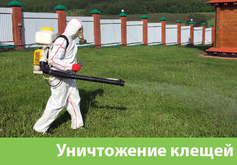 Уничтожение клещей в городе Москва