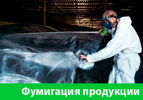Фумигация продукции в городе Москва
